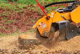 Best Organic Lawn Care Solutions  in Piney Mountain, VA